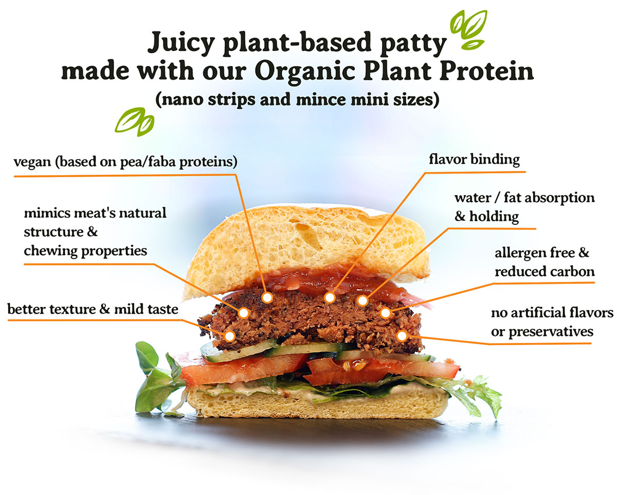 product-alternatve-kitchen-plant-protein-patty-retina